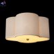 10303 Brass (2)