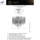 APL.848.13.15 (8)
