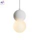 FR5484PL-01W (3)