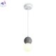 FR5484PL-01W1 (2)