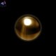 10362S Gold (6)