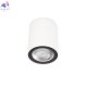 10344 White