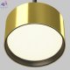 P102PL-12W3K-BS (3)
