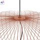 11494 (5)