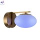 CL226B313 (2)