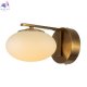CL226B313 (3)