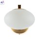 CL226B313 (8)