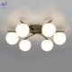 CL228A163 (7)