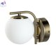 CL228B313 (2)