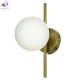 CL242313 (2)