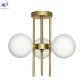 CL242133 (4)