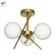 CL242133 (5)