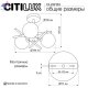 CL242133 (7)