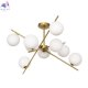 CL242193 (4)