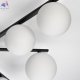 CL209291 (5)