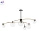 CL218163 (4)