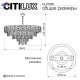 CL317261 (9)