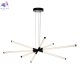 CL217181 (2)
