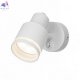 CL565510 (2)