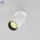 C110CL-01-GU10-W (8)