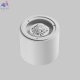 C217CL-15W3K-W (4)
