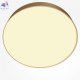 C032CL-45W2.7K-RD-MG (2)