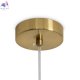 FR2038PL-01BS (4)