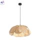 FR5529PL-01B (2)