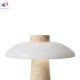 FR5482TL-L7BG (3)