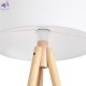 FR5495FL-01W (3)