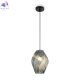 FR5547PL-01DBL