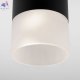 a057156 (2)