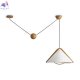 FR5554CL-01T