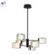 FR5541CL-L30B (2)