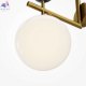 MOD436WL-01BS (2)