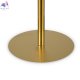 FR1012TL-01BS (4)