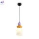 FR5595PL-01B1 (2)