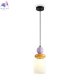 FR5595PL-01B1