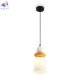 FR5595PL-01B3 (2)