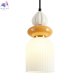 FR5595PL-01B3 (3)
