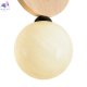 FR5593PL-01B1 (3)