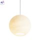 FR5592PL-01BS1 (2)