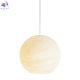 FR5592PL-01BS1 (3)