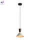 FR5598PL-01CR (2)