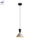 FR5598PL-01CR
