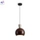 FR5598PL-01R1 (2)