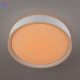 CL751250G (7)
