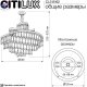 CL315162 (7)