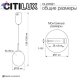 CL247021 (7)