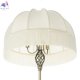 CL407931T (5)